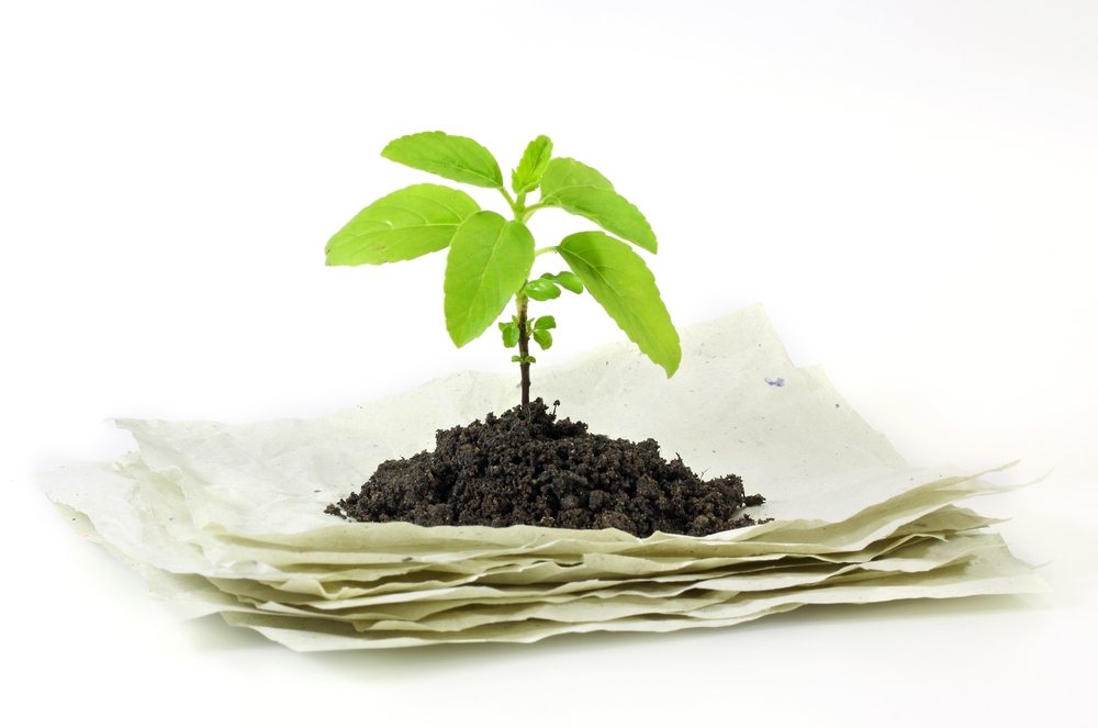 Seed paper: are you familiar with it?