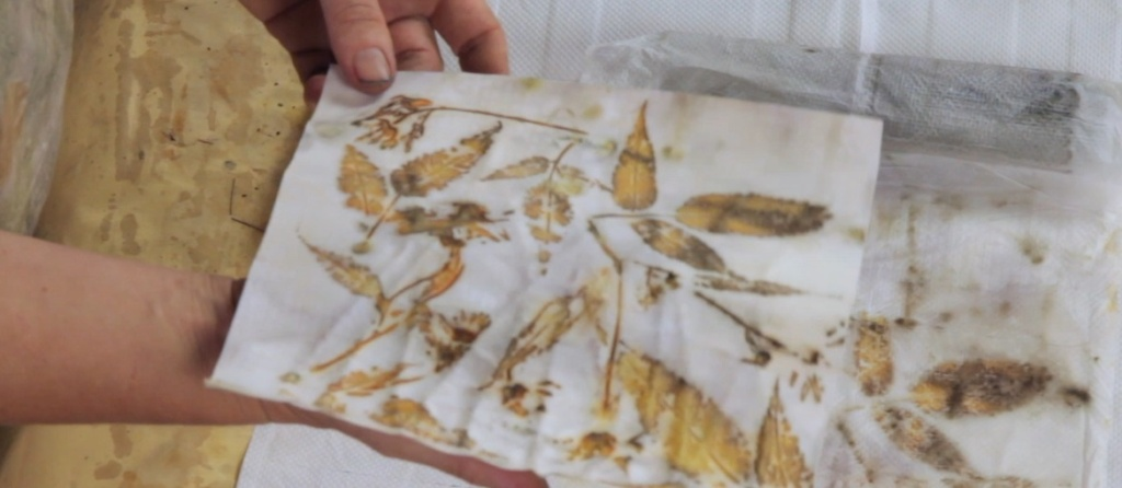 Eco Printing Techniques for Paper Decoration